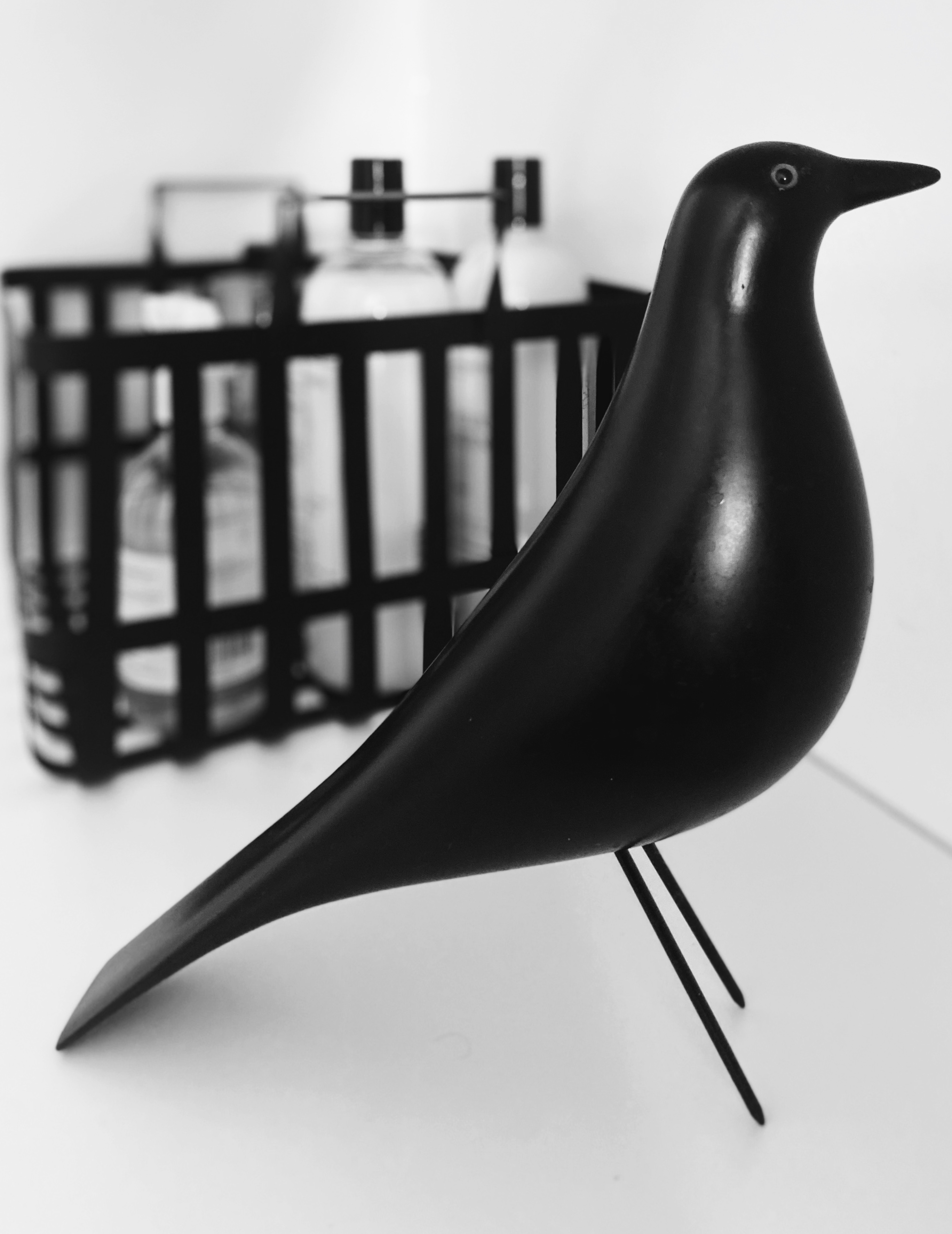 Vogel Design Accessoire schwarz weiß Waschküche