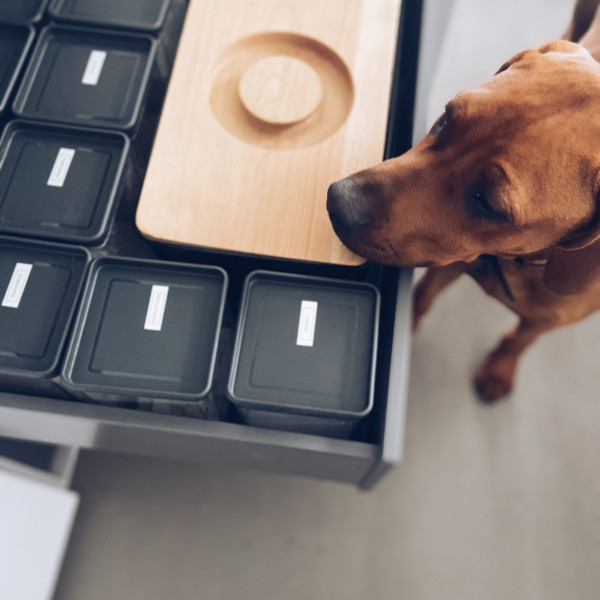 Aufbewahrung Aufbewahrungsdose Brotdose innerer Ordnungsmonk Gläser Ordnung Hund