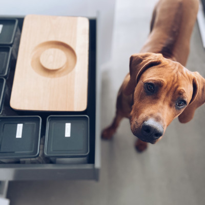 Aufbewahrung Aufbewahrungsdose Brotdose innerer Ordnungsmonk Gläser Ordnung Hund